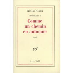 Inventaire - ii - comme un chemin en automne