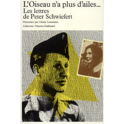 L'oiseau n'a plus d'ailes...