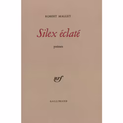 ISBN Silex éclaté, Français, 80 pages