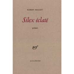 Silex eclate