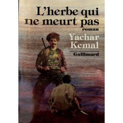 Au-dela de la montagne - iii - l'herbe qui ne meurt pas