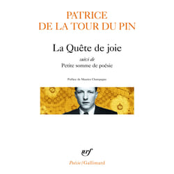 La quête de joie - petite somme de poésie