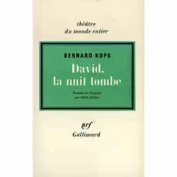 ISBN David, la nuit tombe, Français, 128 pages
