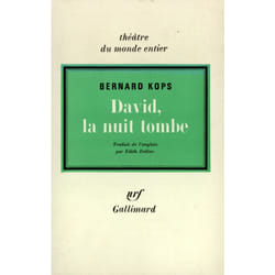 David, la nuit tombe