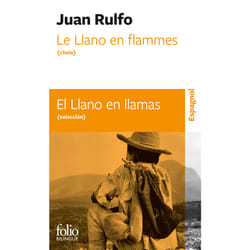 Le llano en flammes - el llano en llamas
