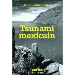 Tsunami mexicain