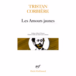 ISBN Les Amours jaunes, Français, 320 pages