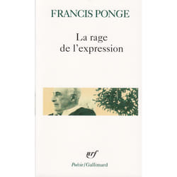 La rage de l'expression