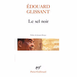 ISBN Le sel noir - Le sang rivé - Boises, Français, 192 pages