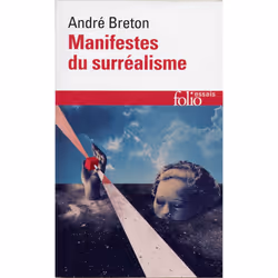 ISBN Manifestes Du Surrealisme, histoire, Français