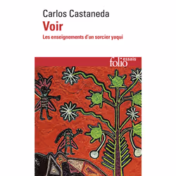 ISBN Voir, Français, 352 pages