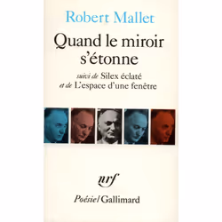 ISBN Quand le miroir s'étonne, Français, 256 pages