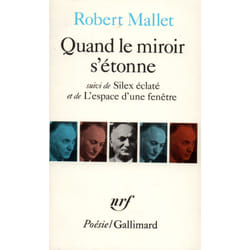 Quand le miroir s'étonne - silex éclaté - l'espace d'une fenêtre