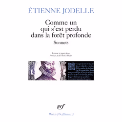 ISBN Comme un qui s'est perdu dans la forêt profonde, Français, 240 pages