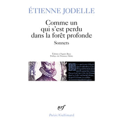 Comme un qui s'est perdu dans la forêt profonde : Sonnets