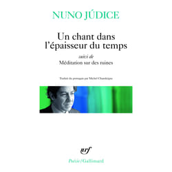 Un chant dans l'épaisseur du temps / méditation sur des ruines