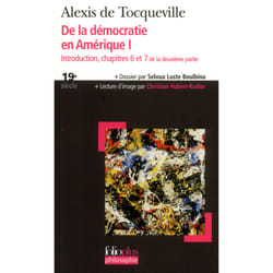 De la démocratie en amérique Tome 1 : introduction, chapitre 6 et 7 de la deuxième partie