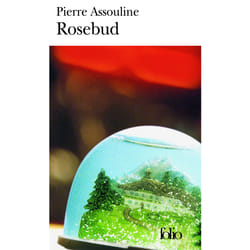 Rosebud : Éclats de biographies