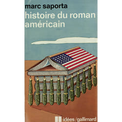 Histoire du roman américain