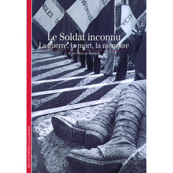 Le soldat inconnu (la guerre, la mort, la mémoire)