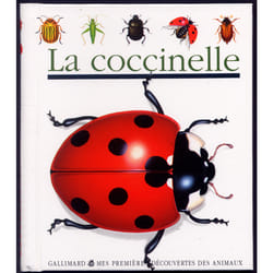La coccinelle