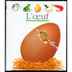 L'oeuf