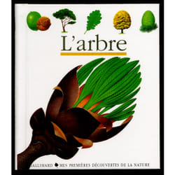 L'arbre