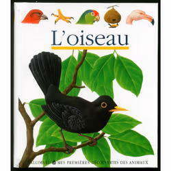 ISBN L'oiseau, Français, 24 pages