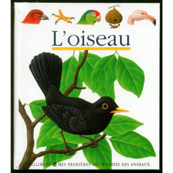 L'oiseau