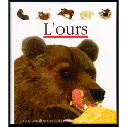 ISBN L'ours, Français, 24 pages