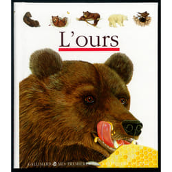 L'ours