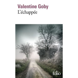 Éditions Gallimard L ÉCHAPPÉE livre