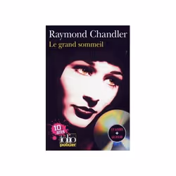 ISBN Le grand sommeil, Français, 336 pages