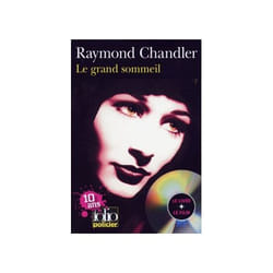 Le grand sommeil