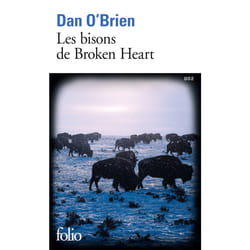 Les bisons de Broken Heart