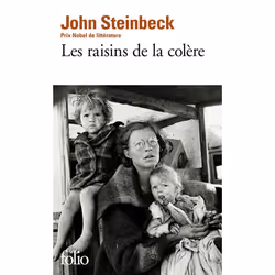 ISBN Les Raisins De La Colere, Littérature, Français