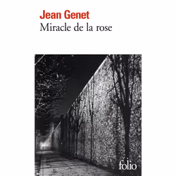 ISBN Miracle de la rose, Français, 384 pages