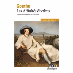 Éditions Gallimard LES AFFINITES ELECTIVES, Français, Livre broché, 345 pages