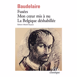 ISBN Fusées - Mon cœur mis à nu - La Belgique déshabillée, Français, 736 pages