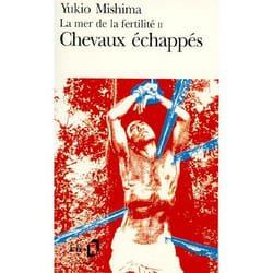 Chevaux échappés (Poche)