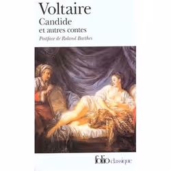 ISBN 9782070384822, Fiction, Livre broché