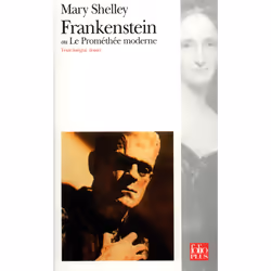 ISBN Frankenstein ou Le Prométhée moderne, Français, 384 pages