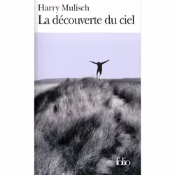 ISBN La Decouverte Du Ciel, Romance, Français, Livre broché