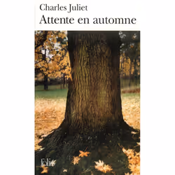 ISBN Attente en automne, Français, 208 pages