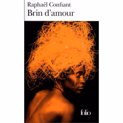Éditions Gallimard BRIN D AMOUR, Français, Livre broché, 329 pages