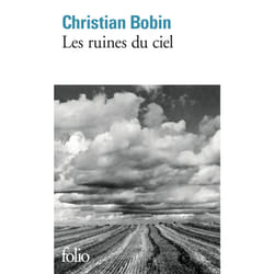 Les ruines du ciel