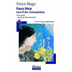 Pauca Meae : Livre IV des Contemplations