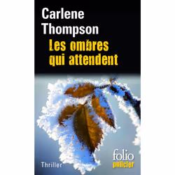 ISBN Les ombres qui attendent, Français, 480 pages