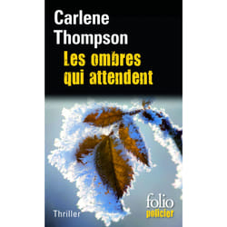 Les ombres qui attendent