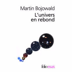 ISBN L'univers en rebond, Français, 384 pages